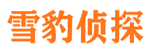 嫩江外遇调查取证